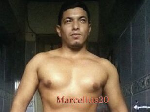 Marcellus20