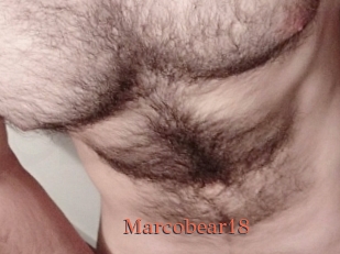 Marcobear18