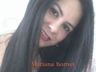 Mariana_hornet