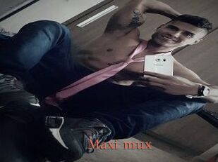 Maxi_mux