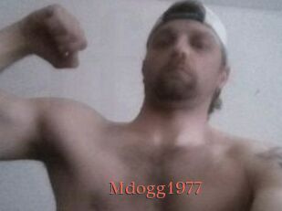 Mdogg1977