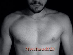 Mecchaud123