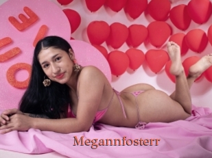 Megannfosterr