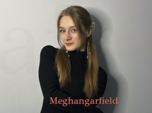 Meghangarfield