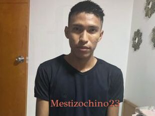 Mestizochino23