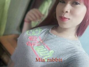 Mia_rabbit