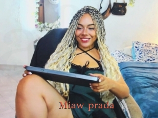 Miaw_prada