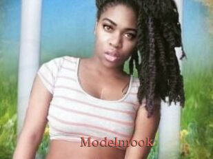 Modelmook