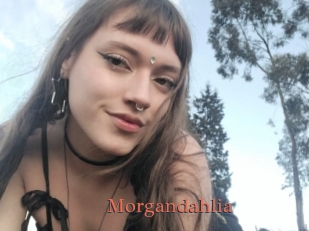 Morgandahlia