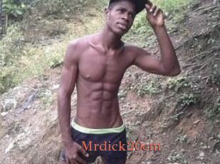 Mrdick20cm