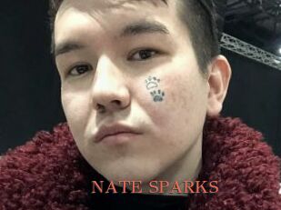 NATE_SPARKS