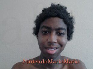 NintendoMarioMario