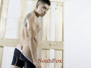 NoahFox