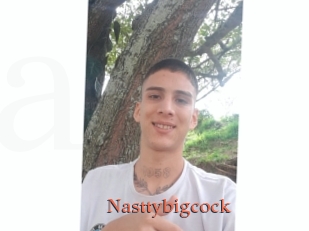 Nasttybigcock