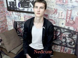 Nedcute