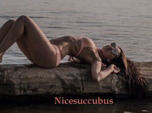 Nicesuccubus