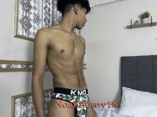 Noahhorny18