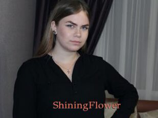 ShiningFlower