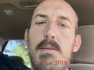 Snakec2018