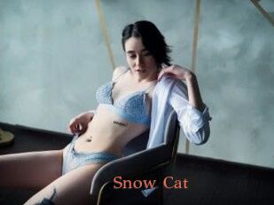 Snow_Cat