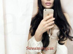 Streamingcat