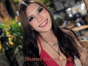 Shanel_bunny_real