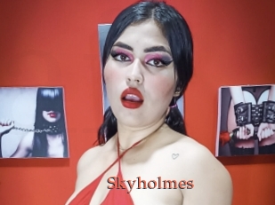 Skyholmes