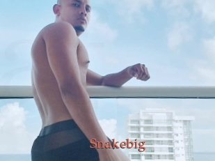 Snakebig