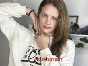 Taiteharder