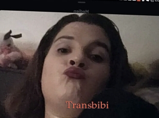 Transbibi