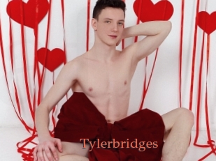 Tylerbridges