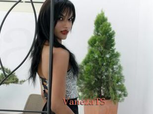 VanezaTS