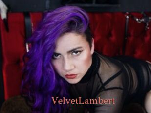 VelvetLambert