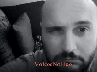 VoicesNoHue