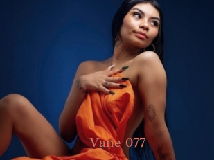 Vane_077