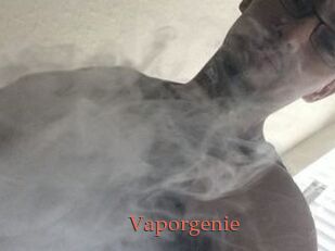 Vapor_genie