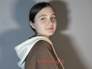 Vellumurr