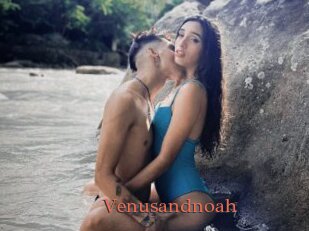 Venusandnoah