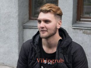 Vikingrub