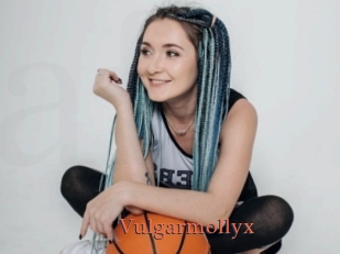 Vulgarmollyx