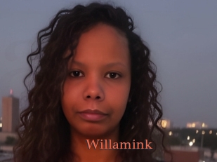 Willamink