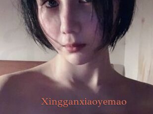 Xingganxiaoyemao