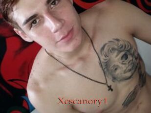 Xescanory1