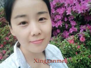 Xingganmei