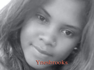 Ynesbrooks