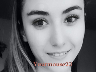 Yourmouse23