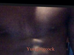 Yungbigcock