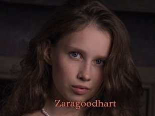 Zaragoodhart